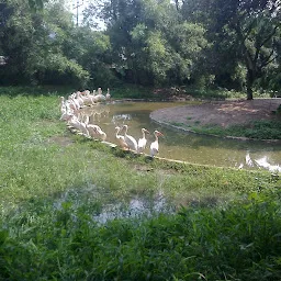 Assam State Zoo cum Botanical Garden