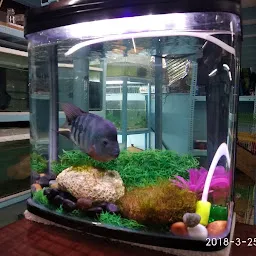 Atoll Aquarium