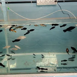 Atoll Aquarium