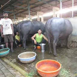 Atul Dairy Farm