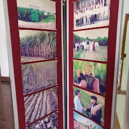 Indian Institute of Sugarcane Research