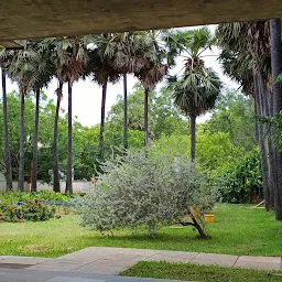 Auroville Library