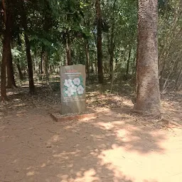 Auroville Visitors Centre