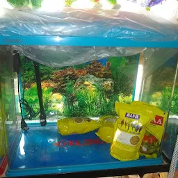 Avi Aquarium