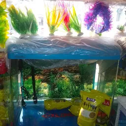 Avi Aquarium