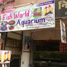 Avi Aquarium