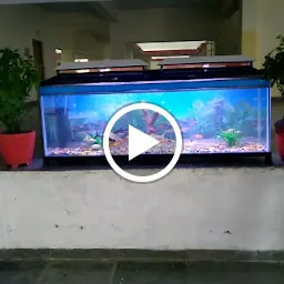 Avi Aquarium