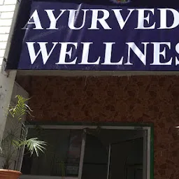 Ayurvedic wellness