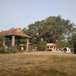 Azhakiyakavu Bhagavathi Temple,Palluruthy