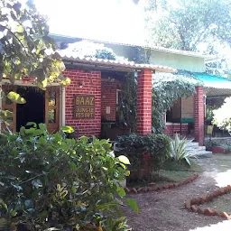 Baaz Jungle Resort