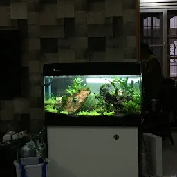 Baba Aquarium