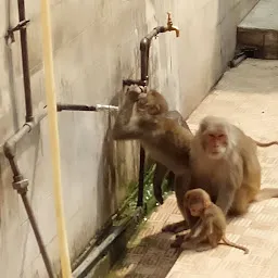 Baba Balak Nath Temple