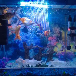 Baba Colour Fish Aquarium