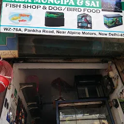 Baba Mungipa & Sai fish Aquarium & dog / Bird food shop