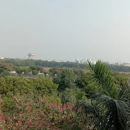 Babasaheb Bhimrao Ambedkar University (A Central University), Lucknow