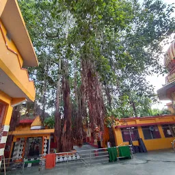 Bada Shivala, Bibiganj