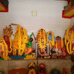 Bagala Mata Mandir বগলা মাতা মন্দির