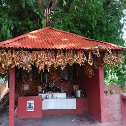 Sri Bagheswari Temple