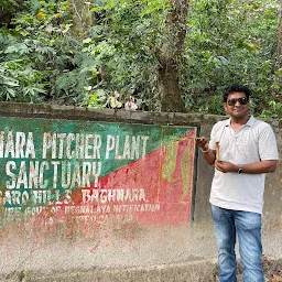 Baghmara Pitcher Plant Sanctuary