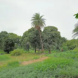 Bagmari Muslim Burial Ground