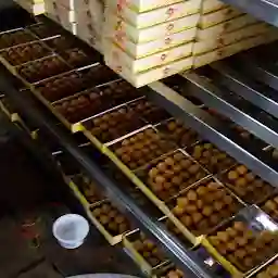 Catalogue - The Prabha International Sweets in Madhav Nagar, Gwalior -  Justdial