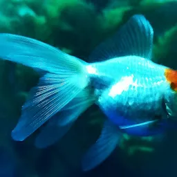 Baidyanath Aquarium