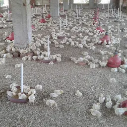 Bains Bro Poultry Farm