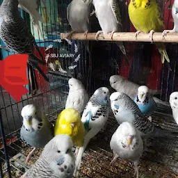 Bajri Bird Farm