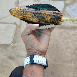 Balaji american sweet corn