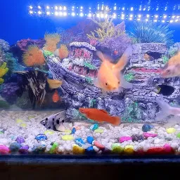 Balaji fish world gift and toys centere