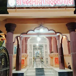 Balaji Shani Dev Mandir Pandrinath