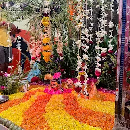 Balaji Shani Dev Mandir Pandrinath