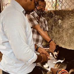 Balanagar Govt Pets Hospital