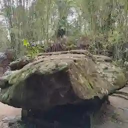 Balancing Rock of Mawlynnong