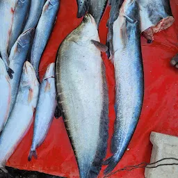 Balongi Fresh Fish, Mutton Meat, Chicken Market.