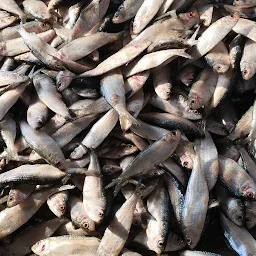 Balugaon (chilika) fish market