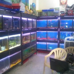 Banaras aquarium and pets
