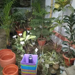 Banaras Botanical Nursery
