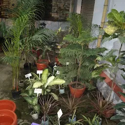 Banaras Botanical Nursery