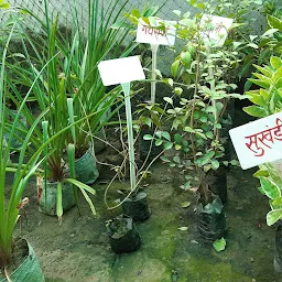 Banaras Botanical Nursery