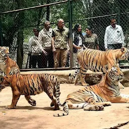 Bannerghatta Zoo