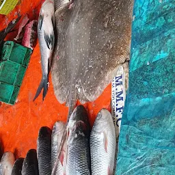 BAPI SEA & RIVER FISH