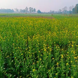 Barabanki nature