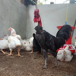 Baragath chicken farm