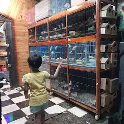 Barkati Aquarium & Pet Shop