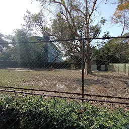 Barking Deer Enclosure