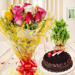Baroda Florist - Flower N Cake Delivery