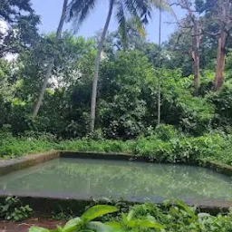 Barunei pool