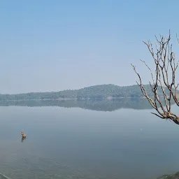 Barvi Dam Bird Watching