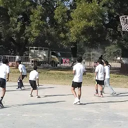 Basketball Court